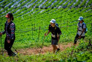 BIB: 2017
                            <button type="button" onclick="openModal(19164669)" class="btn btn-primary btn-sm float-right btn-popup" data-toggle="modal" data-target=".modal-high-quality">
                        <i class="fas fa-shopping-cart"></i> Add to Cart
                    </button>
                                            <button type="button" onclick="isThisMe(19164669, true)" class="btn btn-success btn-sm float-right btn-popup btn-isme hidden" data-toggle="tooltip" data-placement="bottom" title="นี่คือรูปของคุณใช่ไหม คลิกที่นี่เพื่อเอาเข้าอัลบั้ม">
                        <i class="fas fa-plus"></i> Add to album
                    </button>
                    <button type="button" onclick="isThisMe(19164669, false)" class="btn btn-warning btn-sm float-right btn-popup btn-isnotme hidden">
                        <i class="fas fa-ban"></i> Remove from album
                    </button>